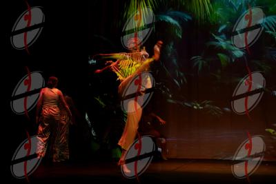 SHOW_00822.jpg